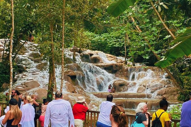 Combo Tour Dunn's River Falls and BlueTour from falmouth - Two Jamaican water stops, two very different moods