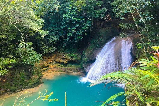 Combo Tour Dunn's River Falls and BlueTour from falmouth - What the $180 price really covers
