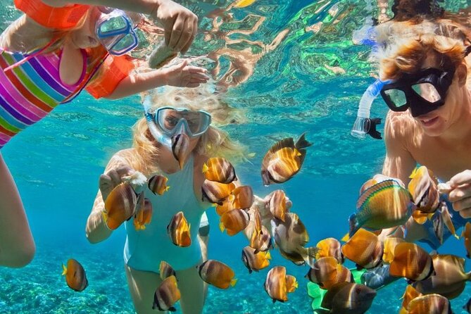 Customize Snorkeling with Option shopping Lunch & Stop local food - Starting with hotel pickup in Montego Bay