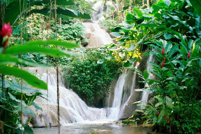 Day Trip to Bob Marley's Nine Mile and Dunn's River Falls from Falmouth - Timing, weather, and practical limits