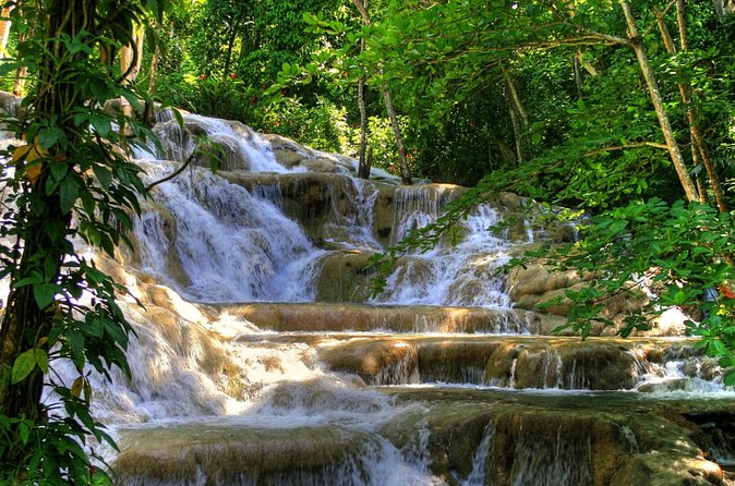 Day Trip to Dunn's River Falls from Montego Bay - What the $135.40 price really covers
