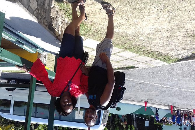 Day Trip to Dunn's River Falls from Montego Bay - Who will enjoy this Montego Bay day trip