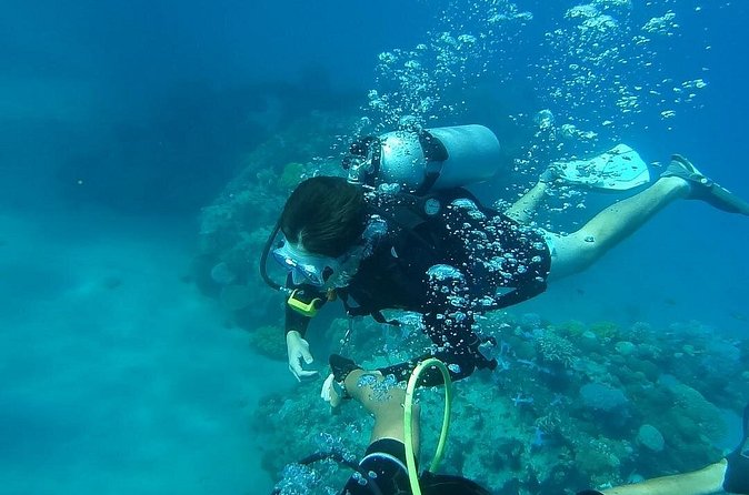 Discover Scuba Diving From Ocho Rios - Equipment, reef tax, and the real cost