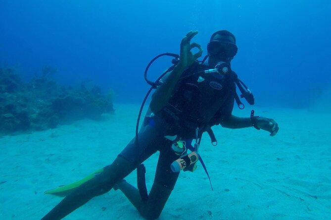 Discover Scuba Diving in Montego Bay-ONE Tank (First time Diving) - Who will enjoy this Montego Bay introduction