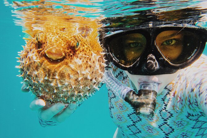 Discover Scuba Diving in Montego Bay-ONE Tank (First time Diving) - Practicing skills before the one-tank session