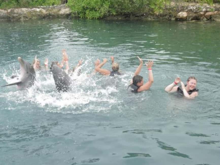 Dolphin Swim Adventure - Key points to know before you book