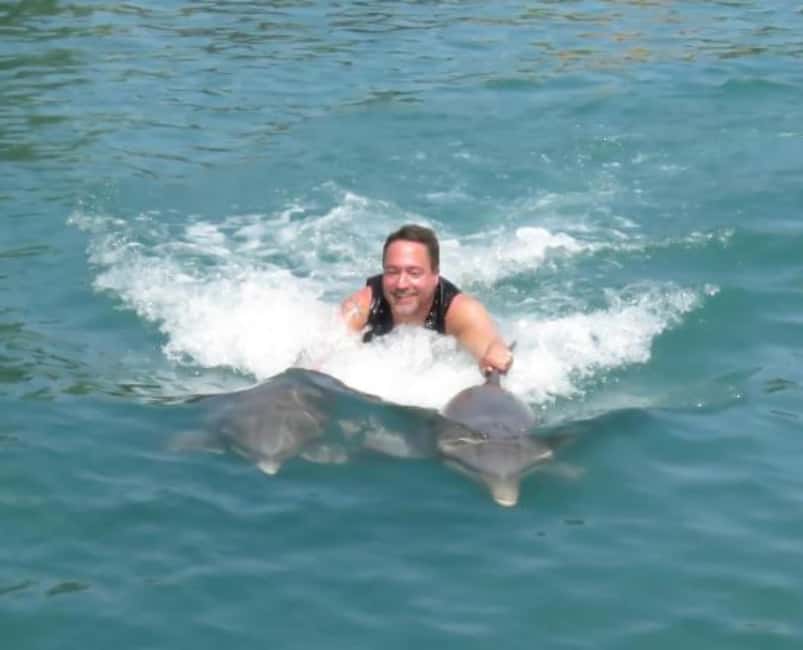 Dolphin Swim Adventure - Meeting the dolphins at Dolphin Cove
