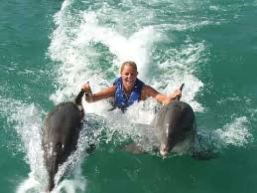 Dolphin Swim Adventure - Why the private ride changes the day