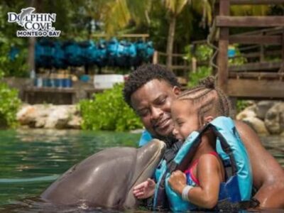 Dolphin Swim Adventure