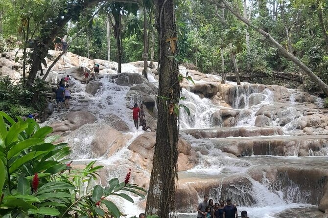 Dunn River Falls and Bamboo River Rafting in Ocho Rios Jamaica. - How the transport adds value