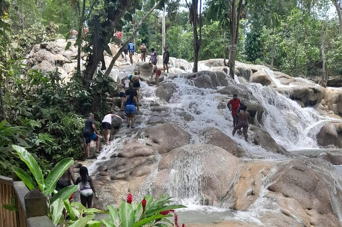 Dunn River Falls and Bamboo River Rafting in Ocho Rios Jamaica. - What the $135 cost really covers