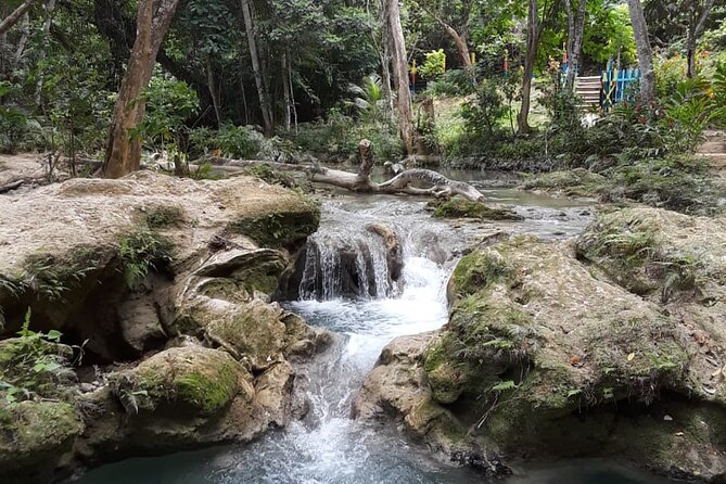 Dunn's Falls and Blue Hole Daytrip with Lunch from Montego Bay & Trelawny - Timing, pickup, and the practical side of the outing
