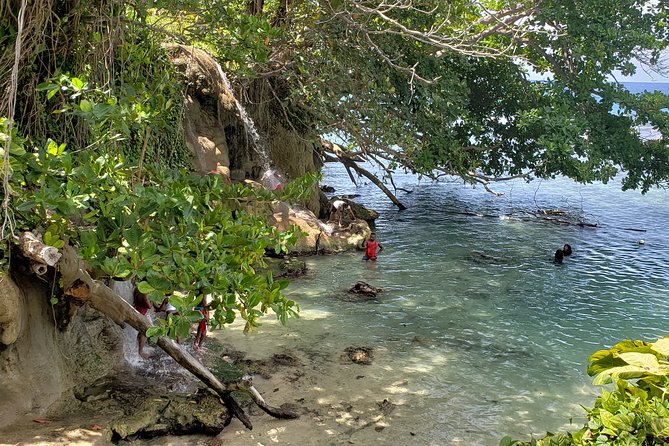 Dunn's Falls and Blue Hole Daytrip with Lunch from Montego Bay & Trelawny - Who will enjoy this Jamaica water day most