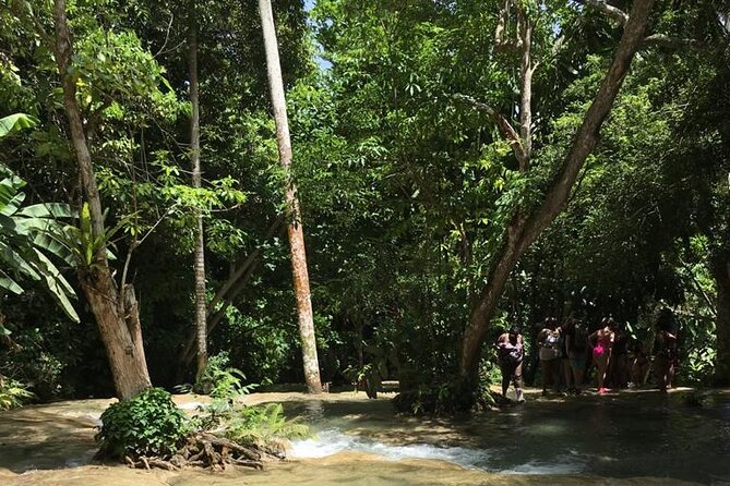 Dunn's River and Blue Hole Tour from Ocho Rios - Gear, fitness, and the wet-weather reality