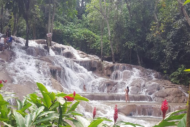 Dunn's River Falls and Beach From Ocho Rios Jamaica - Who should book this Dunn’s River outing?