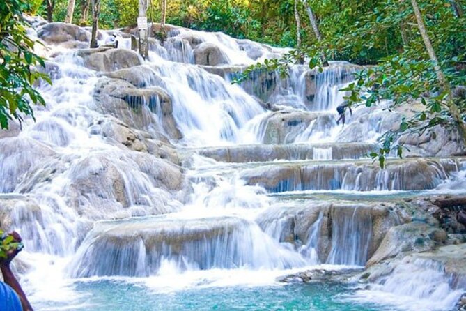 Dunn's River Falls and Bob Marley Mausoleum - Nine Mile and the Bob Marley experience