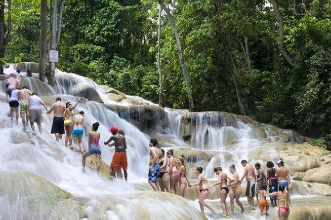Dunn's River Falls and Horse Back Riding Excursion - Two Jamaica classics in one half-day