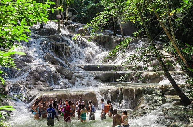 Dunn's River Falls and Horse Back Riding Excursion - What the guides add to the experience