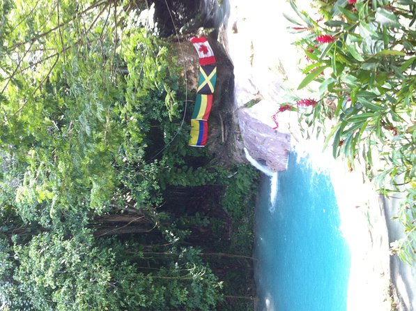 Dunn's River Falls and Jamaica Sightseeing Private Tour - Falmouth and the pause above Rio Bueno