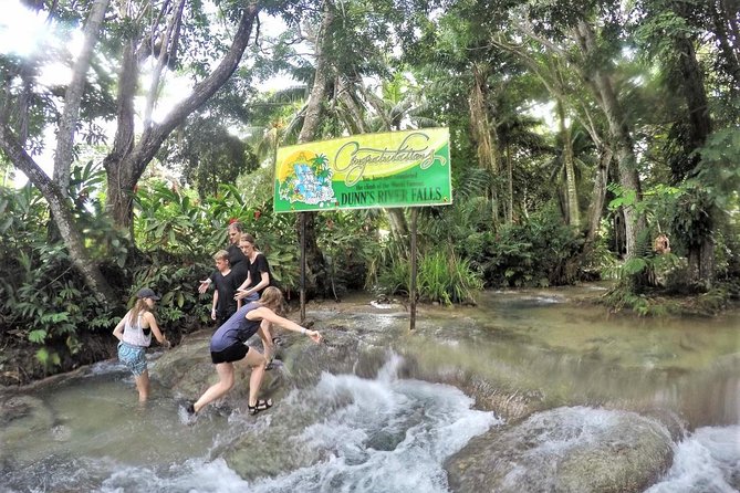 Dunn's River Falls and Ocho Rios Shopping Tour from Montego Bay Hotels - Columbus Park Adds a Short History Stop