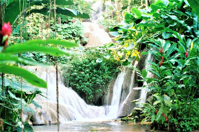 Dunn's River Falls and Ocho Rios Shopping Tour from Montego Bay Hotels - What the 8-Hour Day Actually Feels Like