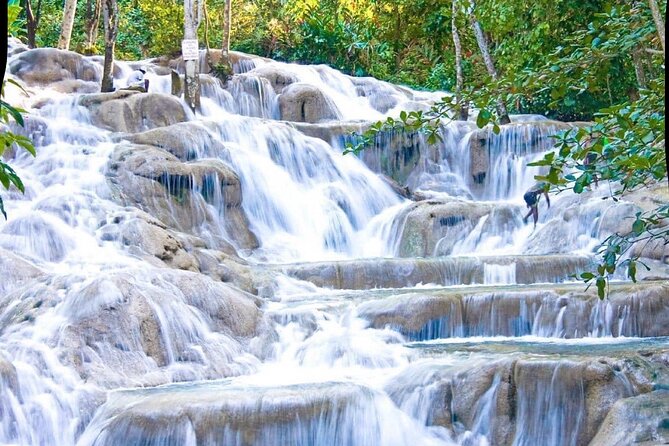 Dunn's River Falls and Park Tour with Zip Line from Montego Bay - Why Dunn’s River Falls is the main event