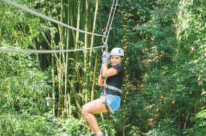 Dunn's River Falls and Park Tour with Zip Line from Montego Bay - What the $199 price really buys