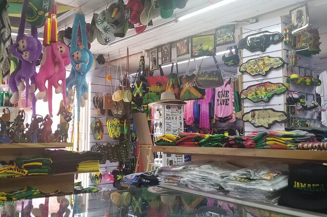 Dunn's River Falls And Shopping Tour From Ocho Rios - Who will enjoy this tour most