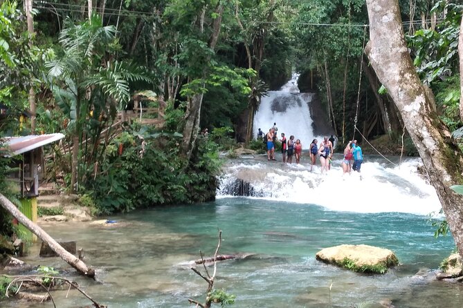 Dunn's River Falls & Blue Hole from Montego Bay or Falmouth - A private vehicle changes the feel of the day