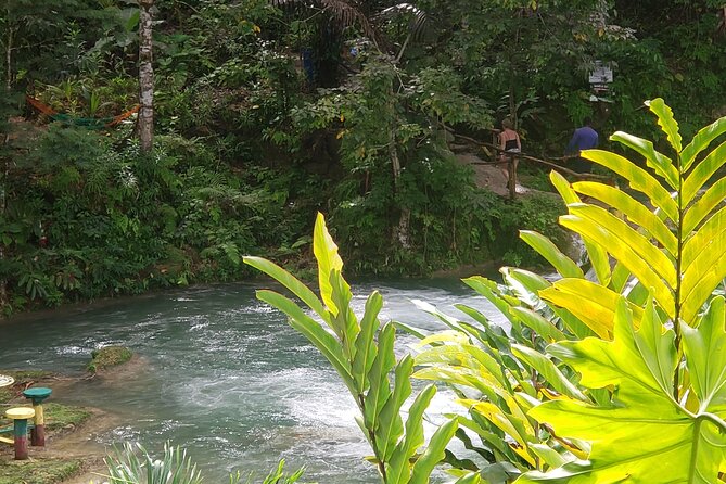 Dunn's River Falls & Blue Hole Tour from Montego Bay - Montego Bay transport: comfort with a long road day