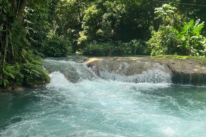 Dunn's River Falls & Blue Hole Tour from Montego Bay - What the $120 price really covers