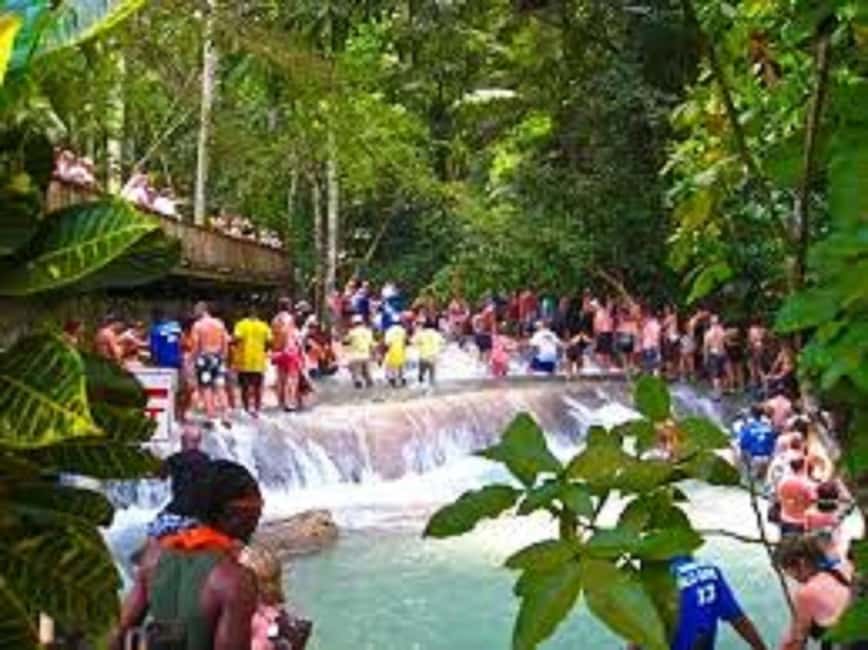 Dunn's River Falls Day Tour - Fern Gully trades rushing water for plant lore