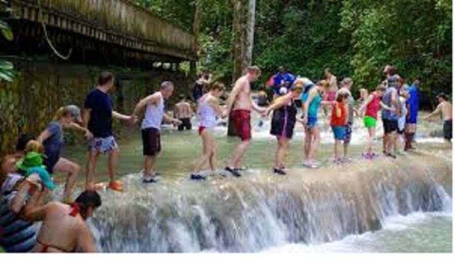 Dunn's River Falls Day Tour - What the $208 private rate really buys you