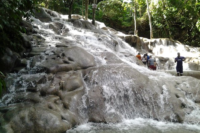 Dunn's River Falls excursion from Montego Bay - Service, group size, and possible weak points