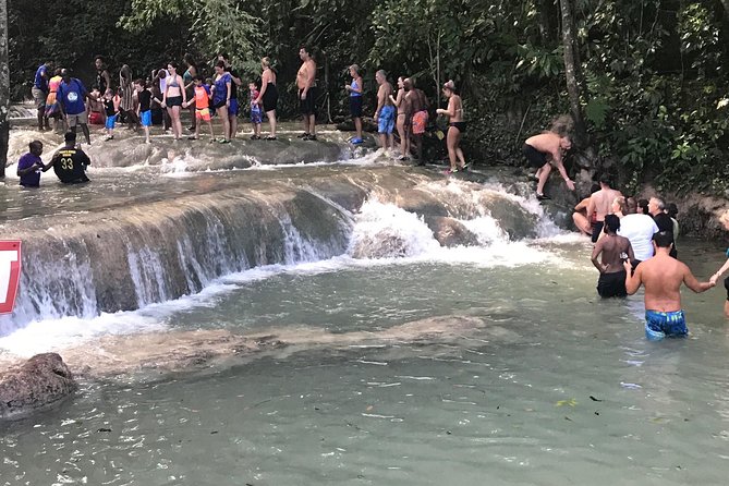 Dunn's River Falls From Montego Bay - Key points to know before booking
