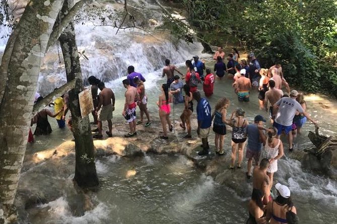 Dunn's River Falls From Montego Bay - Why the private ride from Montego Bay matters
