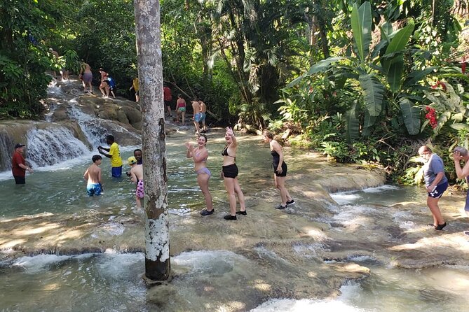 Dunn's River Falls Half Day Tour From Montego Bay - Private transport and the value of local help