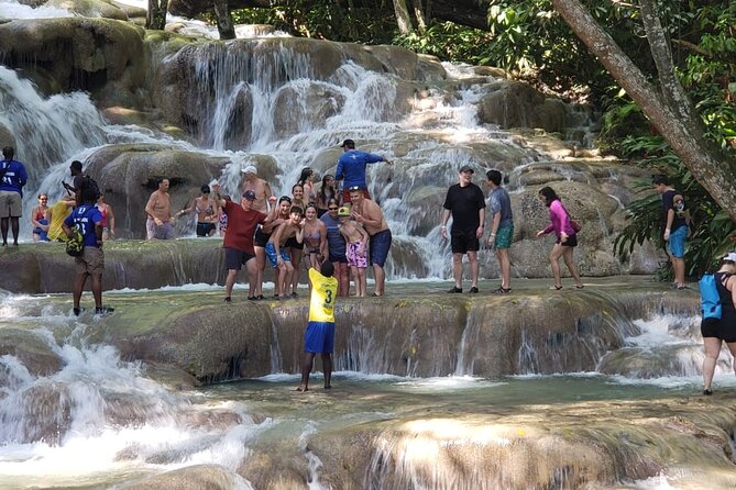 Dunn's River Falls Half Day Tour From Montego Bay - What the $160 price really buys