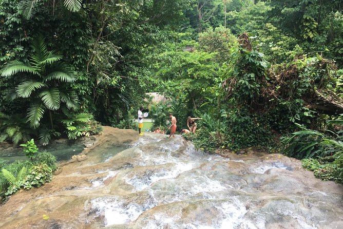 Dunn’s River Falls & Horse Back Riding Transportation Only - Dunn’s River Falls: water shoes, swimming, and physical effort