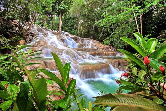 Dunn's river falls, shopping and lunch - Key points to know before booking