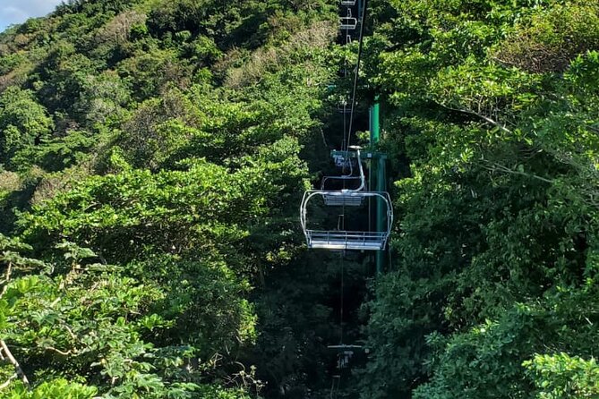 Dunn’s River Falls,Zip lining & horseback riding Combo tour from Montego Bay - Horseback riding from forest trail to salt water