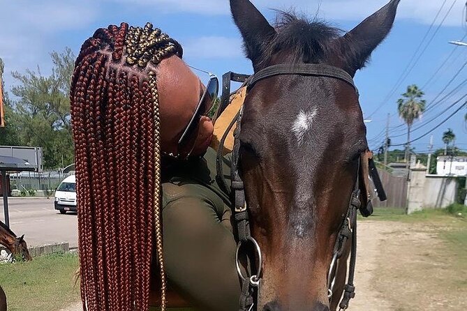 Dunn’s River Falls,Zip lining & horseback riding Combo tour from Montego Bay - Is the $300 price fair?