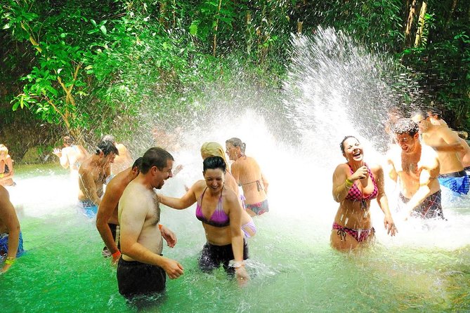 Dunn's River, River Tubing and Lunch Combo - Jerk lunch with a local feel