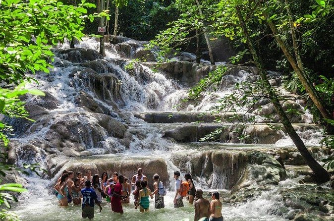 Dunn's River, River Tubing and Lunch Combo - The drivers can shape your whole day