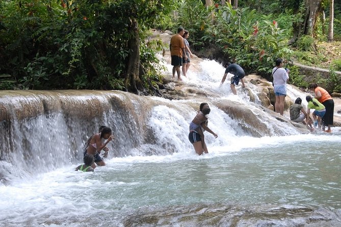 Dunn's River Tour from Falmouth - What the $147.70 price really covers