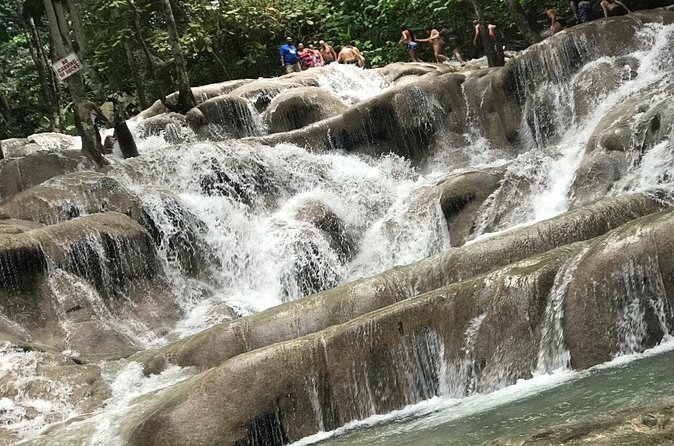 Dunns River Falls Experience from Montego Bay Resorts - Tranquility Gardens and the on-site zipline