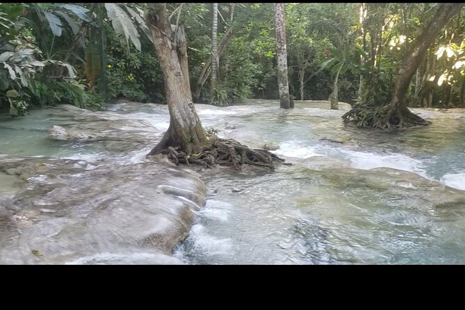 Dunns River Falls Experience from Montego Bay Resorts - Price, group discounts, and overall value