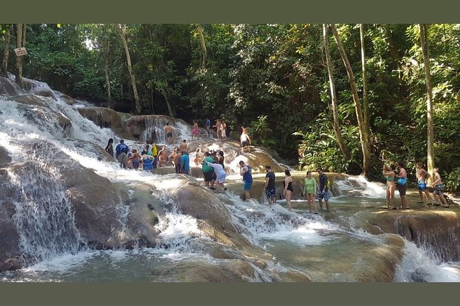 Dunns River Falls Private Day Tour - Should you book this Dunn’s River Falls tour?