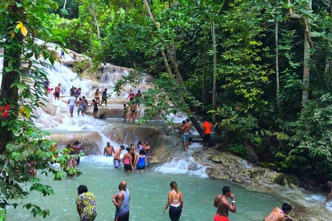 Dunns River Falls - Meeting Bunny before the waterfall climb