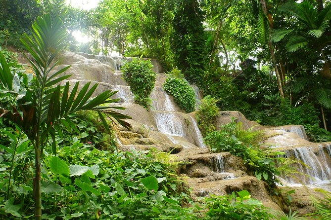 Eco Explorers Waterfall, Rainforest, local Shopping with lunch - What the $110 price really covers